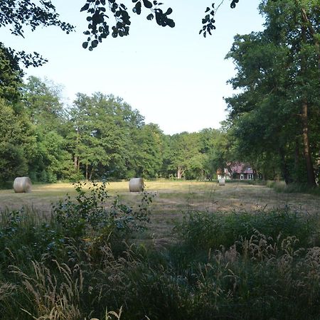 Vierseitenhof Appartements Burg im Spreewald Eksteriør billede