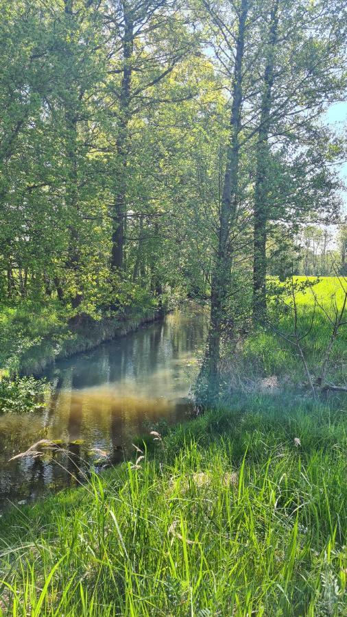 Vierseitenhof Appartements Burg im Spreewald Eksteriør billede