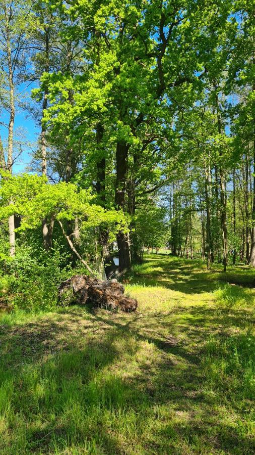 Vierseitenhof Appartements Burg im Spreewald Eksteriør billede