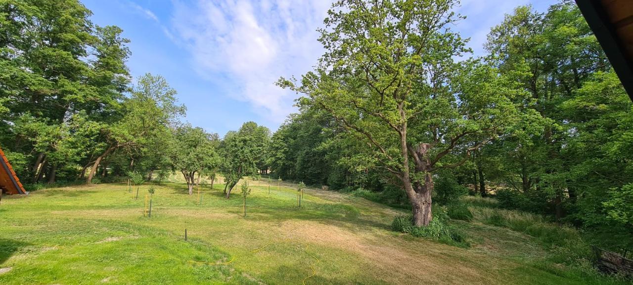Vierseitenhof Appartements Burg im Spreewald Eksteriør billede