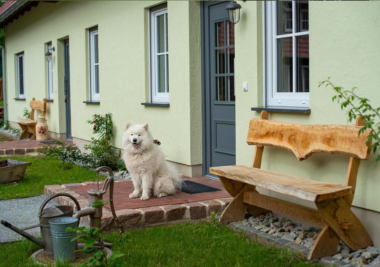 Vierseitenhof Appartements Burg im Spreewald Eksteriør billede