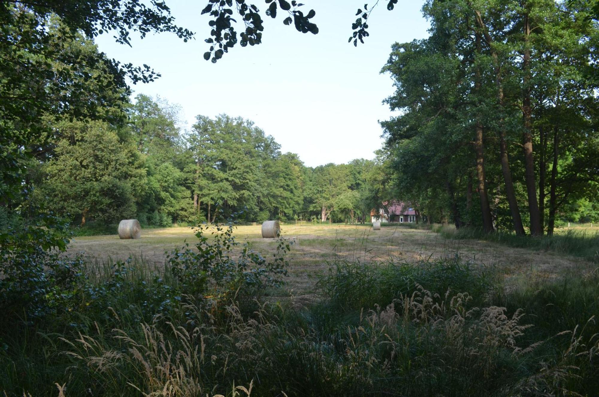 Vierseitenhof Appartements Burg im Spreewald Eksteriør billede